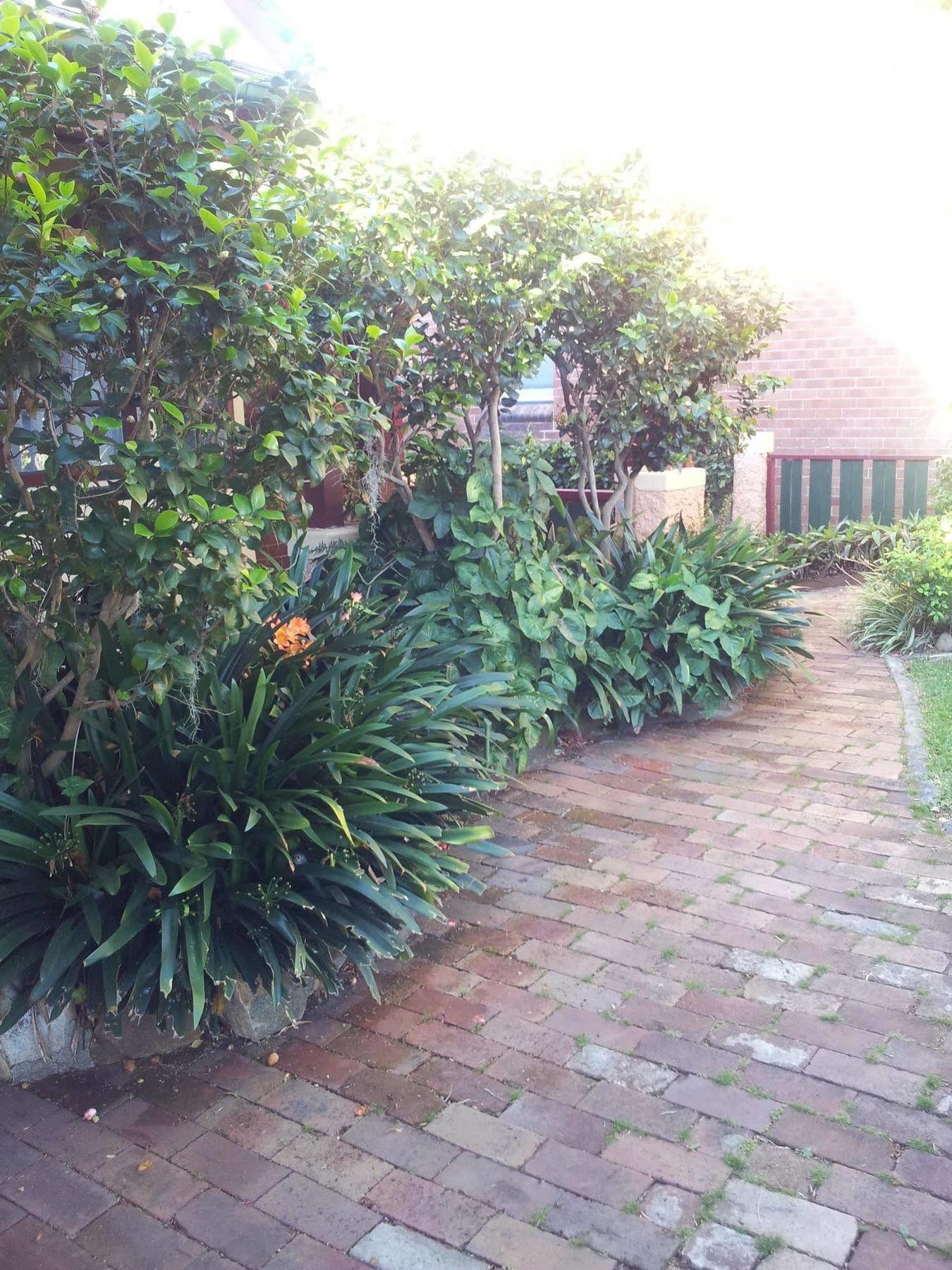 Hamilton Heritage B & B นิวแคสเซิล ภายนอก รูปภาพ